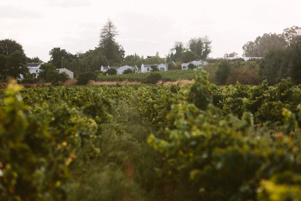 Leipzig Country House & Winery Nuy Екстериор снимка