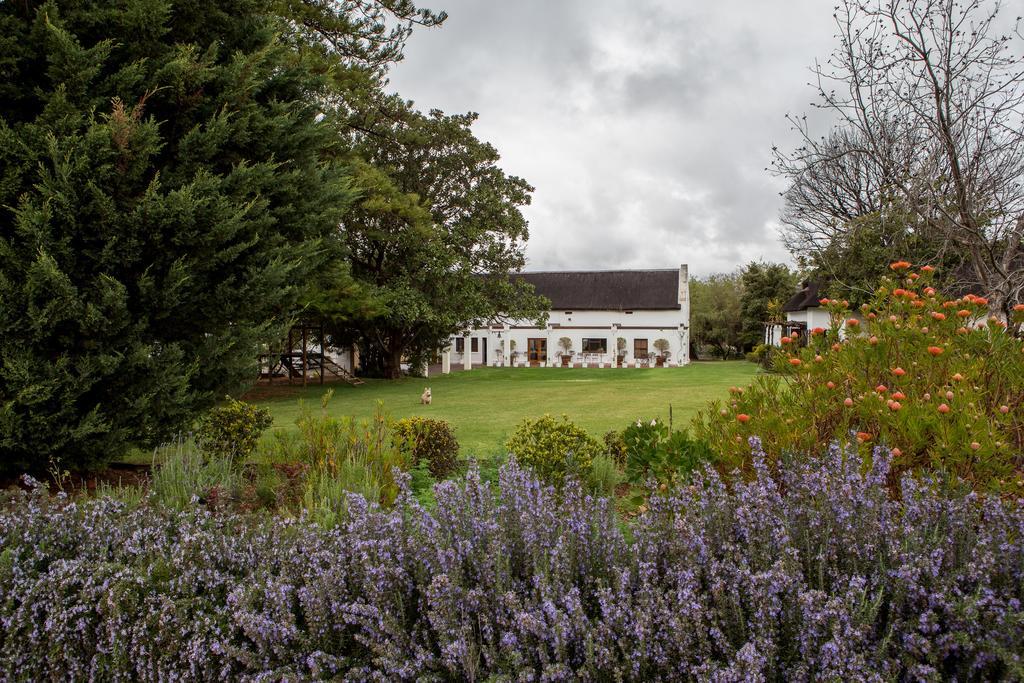 Leipzig Country House & Winery Nuy Екстериор снимка