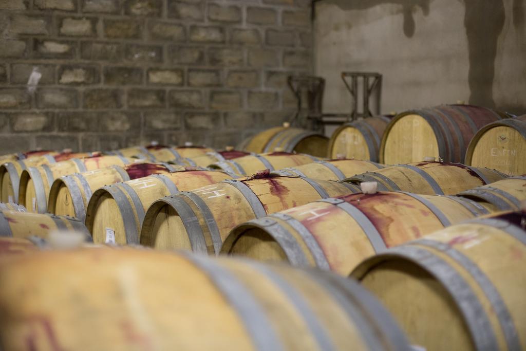 Leipzig Country House & Winery Nuy Екстериор снимка